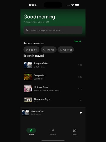 Tubidy - Offline Music Player iPad screenshot 1