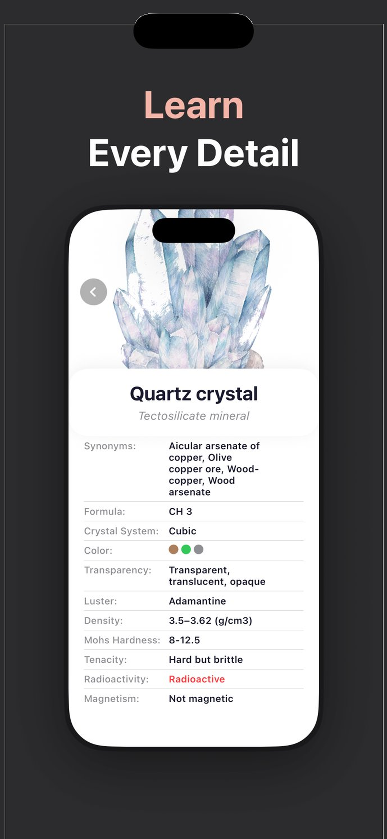 RockAI Identifier screenshot 5