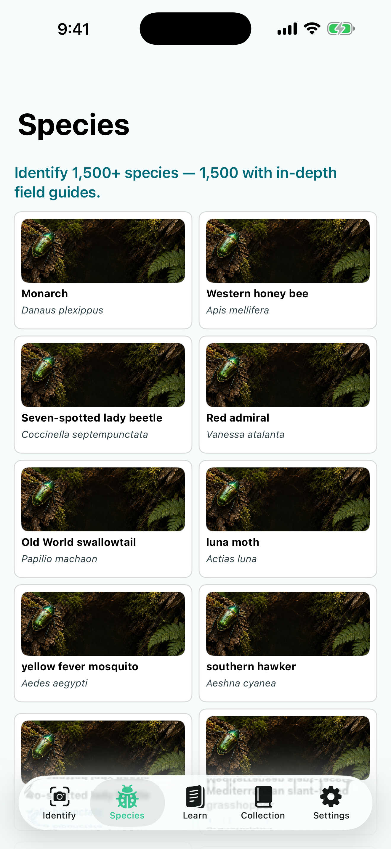 Insect Discover screenshot 4