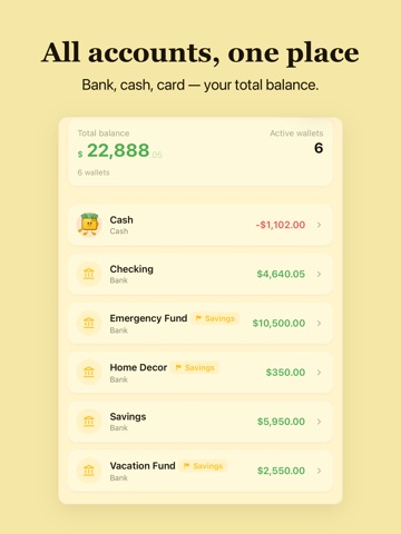 Wallety: Budget Planner iPad screenshot