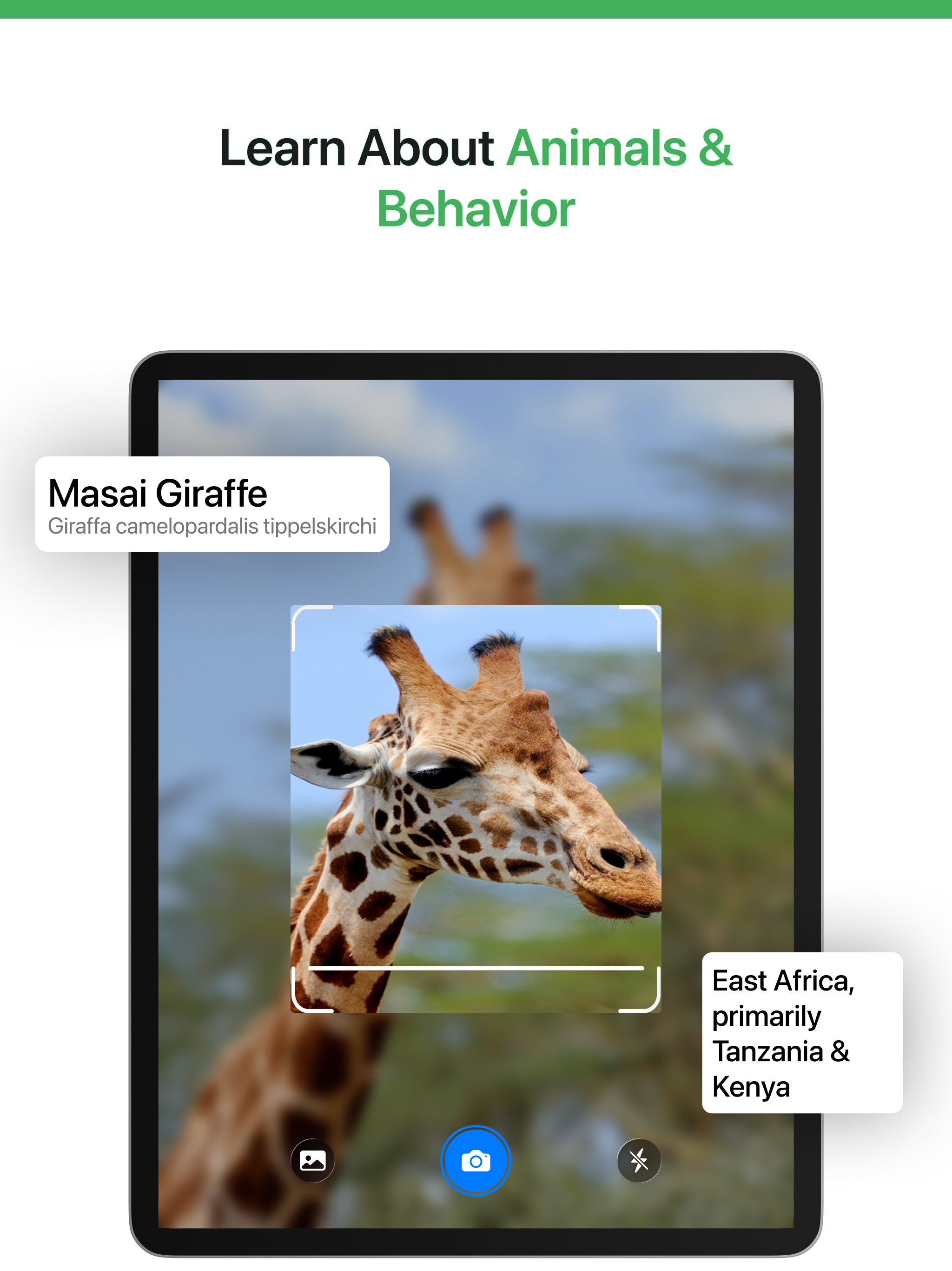 AI Identifier - Scan & Learn