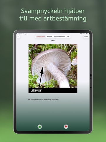 Svampguiden+ iPad screenshot 9