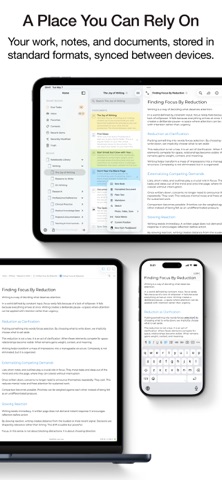 Notebooks: Write and Organize screenshot