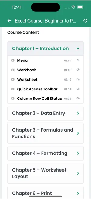 Excel Course: Beginner to Pro screenshot 2