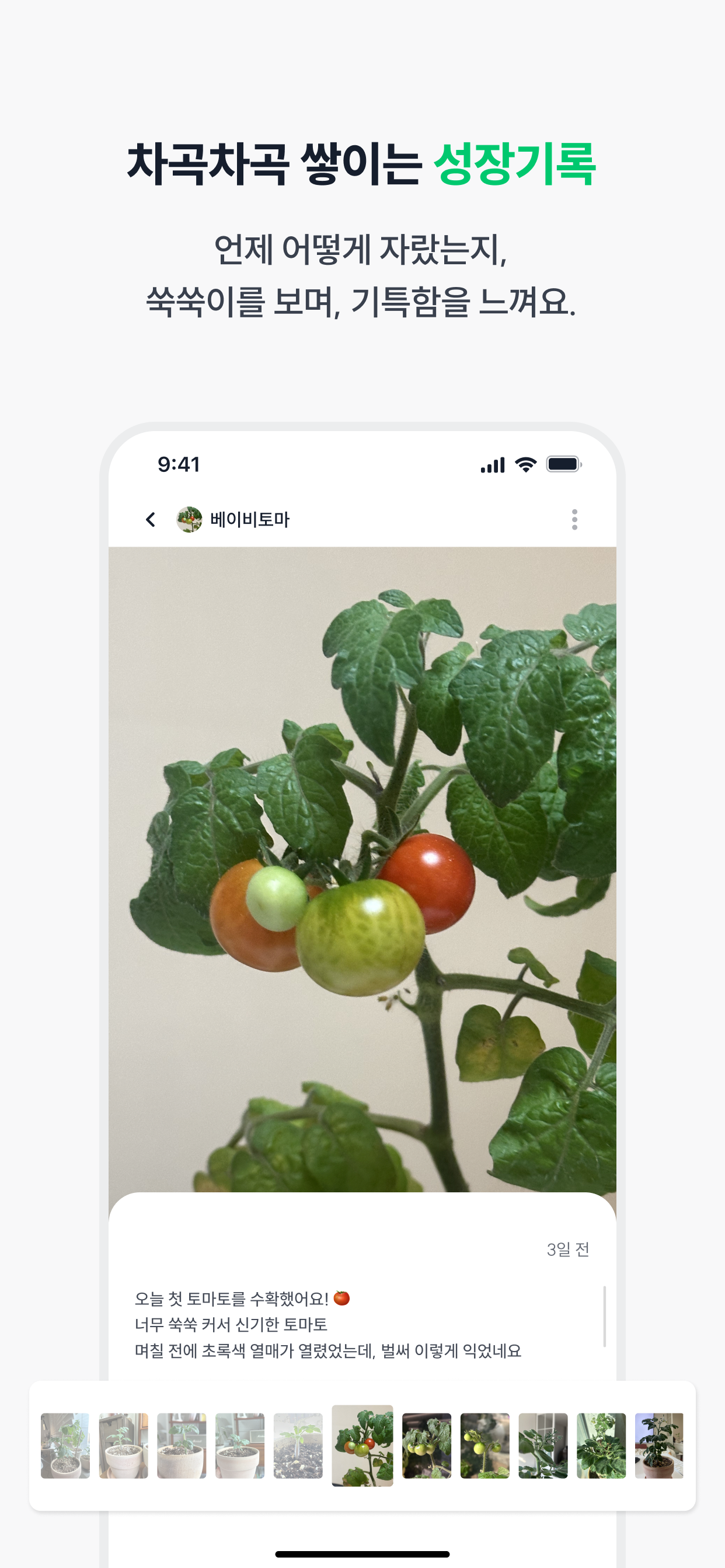 쑥쑥이네 - 식물 성장기록 다이어리