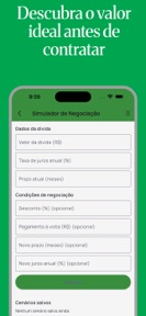 Desenrola BR Limpa Nome Guia screenshot