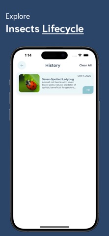 Insect Identifier - II screenshot