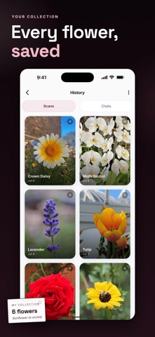 Flower Identifier: Bloom ID Screenshot 3 of 6