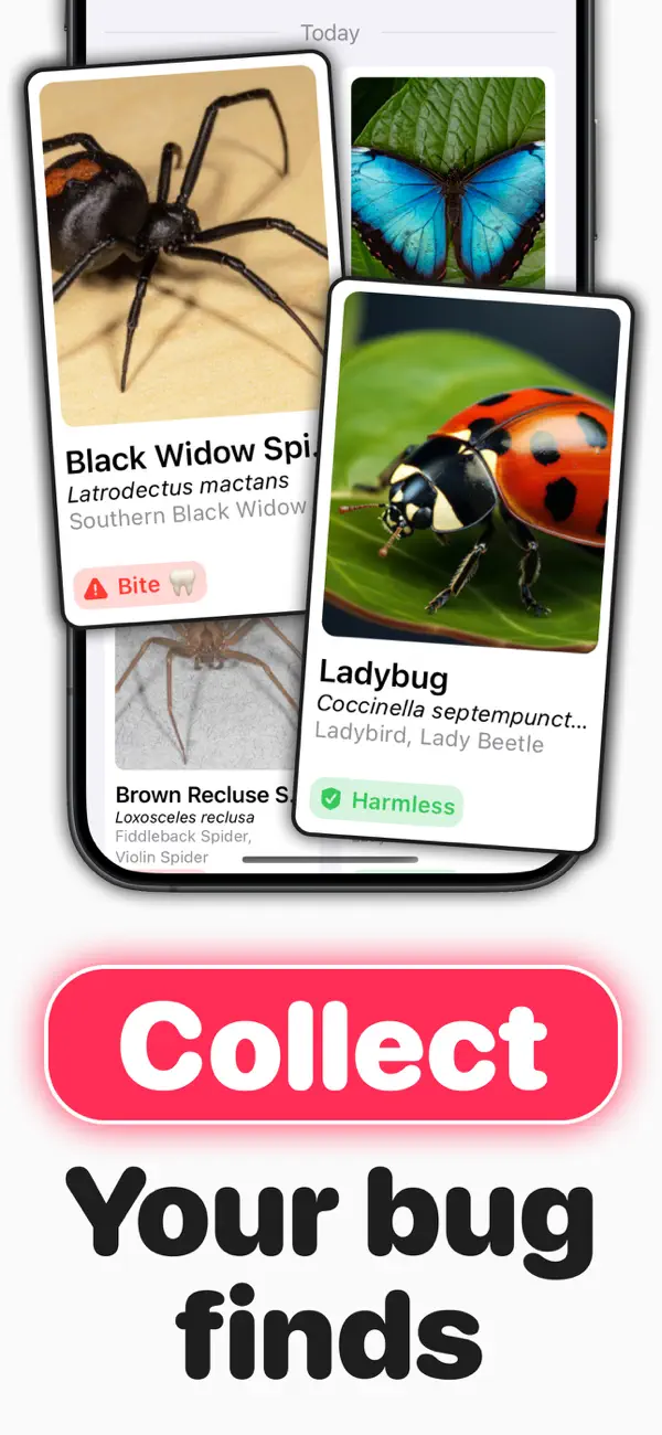 #3. Identify Bugs ° (iOS) De: Leonardo Estremadoyro