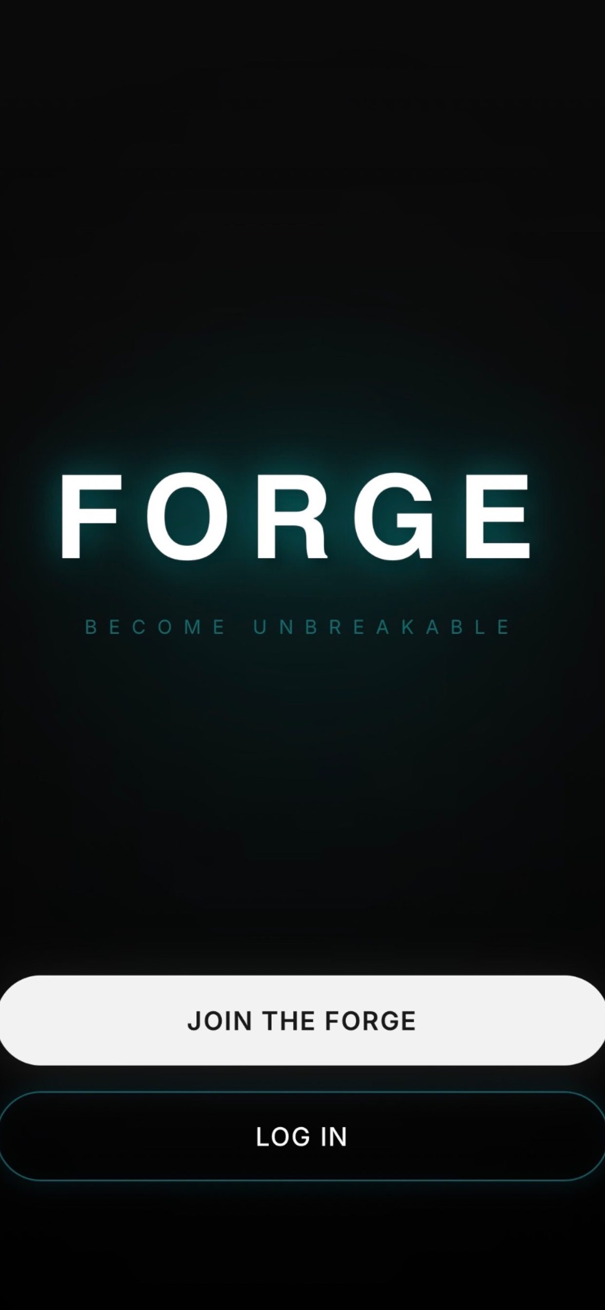 The Forge Fit screenshot 10