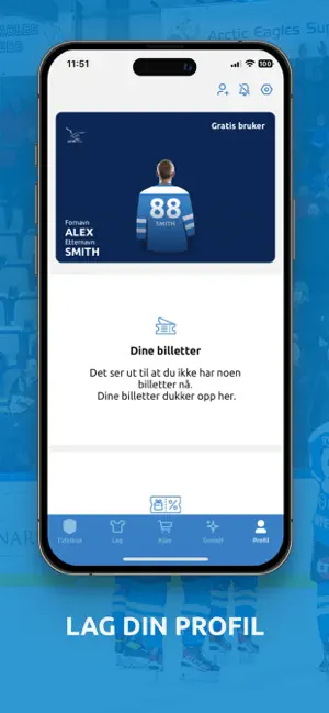 Narvik Hockey – Arctic Eagles screenshot 4