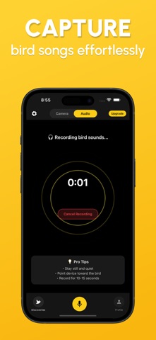 Bird Identifier: ChirpSense iPhone screenshot