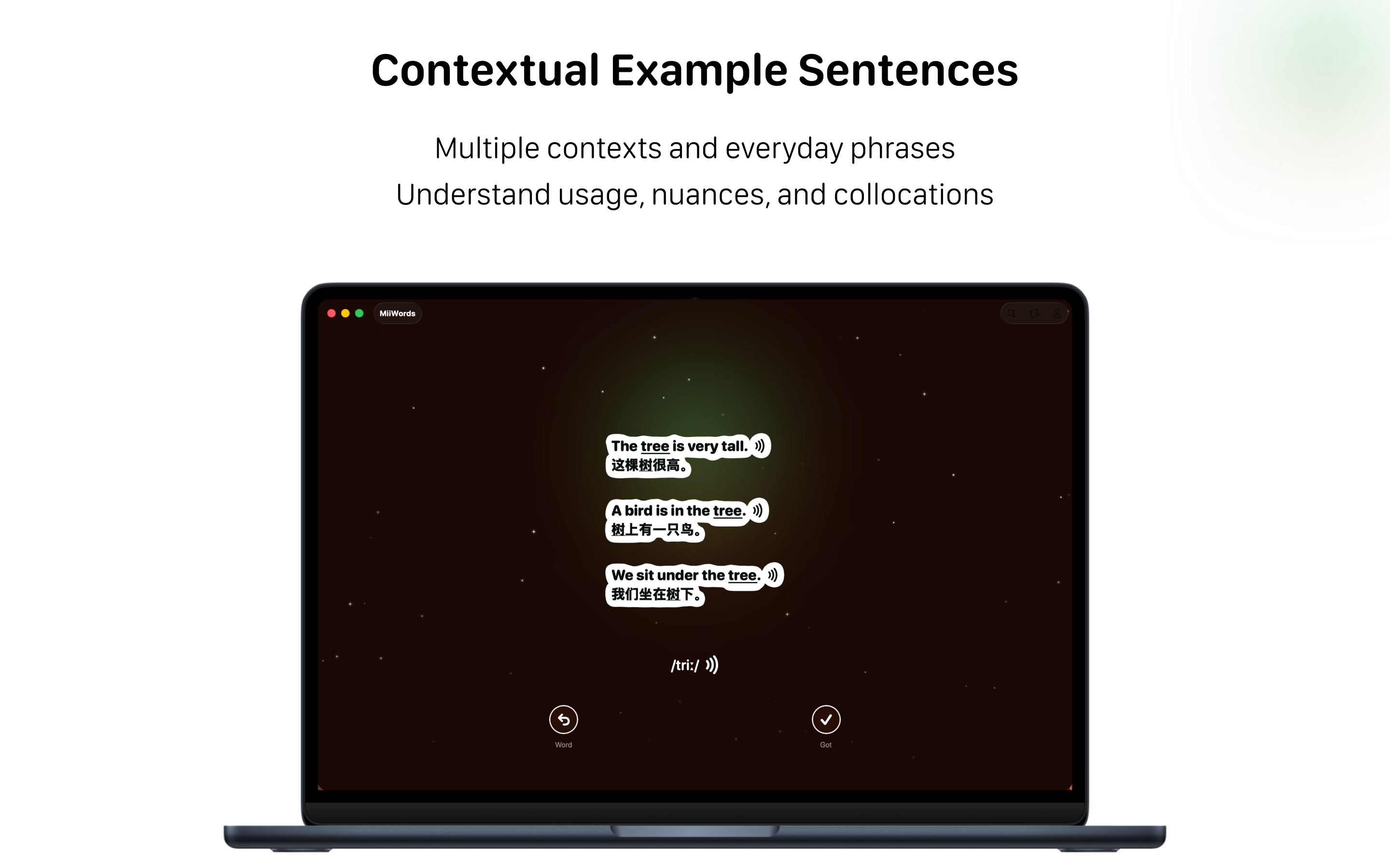 MiiWords - English Flashcards