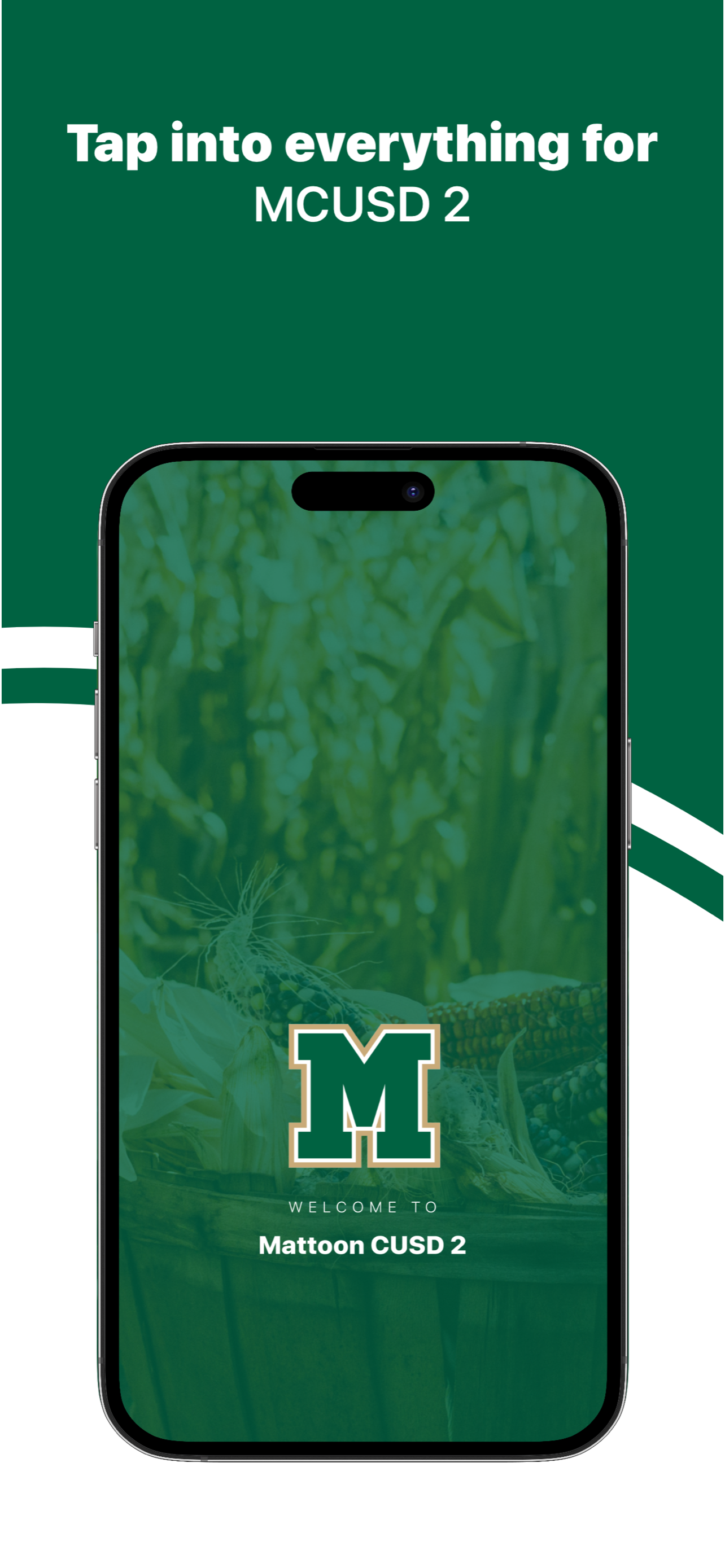 Mattoon School District