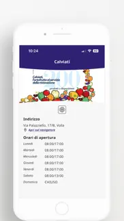 calviati iphone screenshot 3