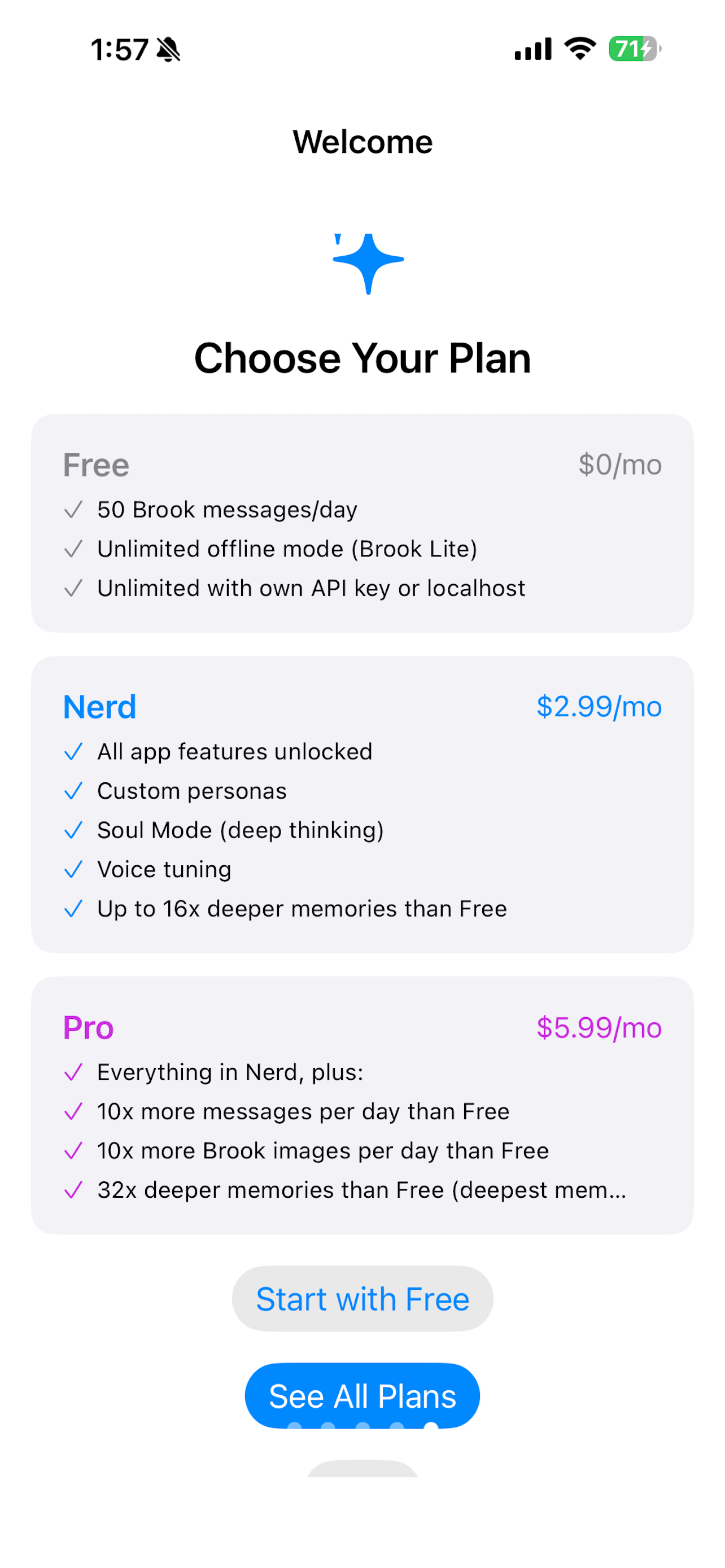 Brook: More Than AI
