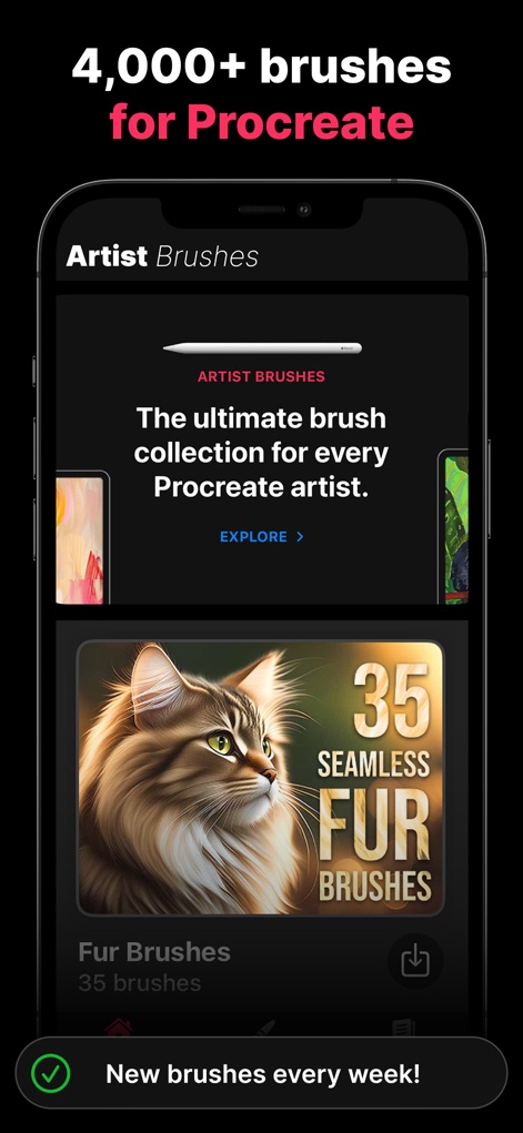 Artist Brushes for Procreate - Discover the extensive collection of brushes, including specialty packs like 'Fur Brushes', and note the frequent 'New brushes every week!' updates.