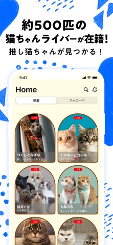 nekochan - 猫だけのライブ配信で癒されよう！ のスクリーンショット