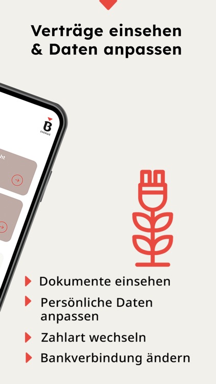 Brillant Energie. Strom & mehr