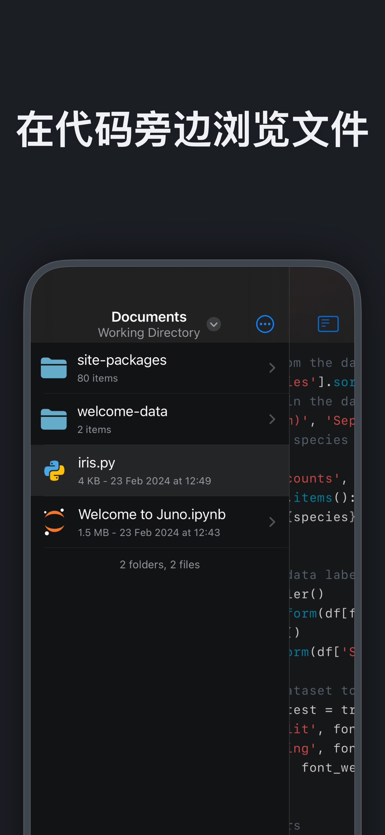 Juno – Python 与 Jupyter 截图 9
