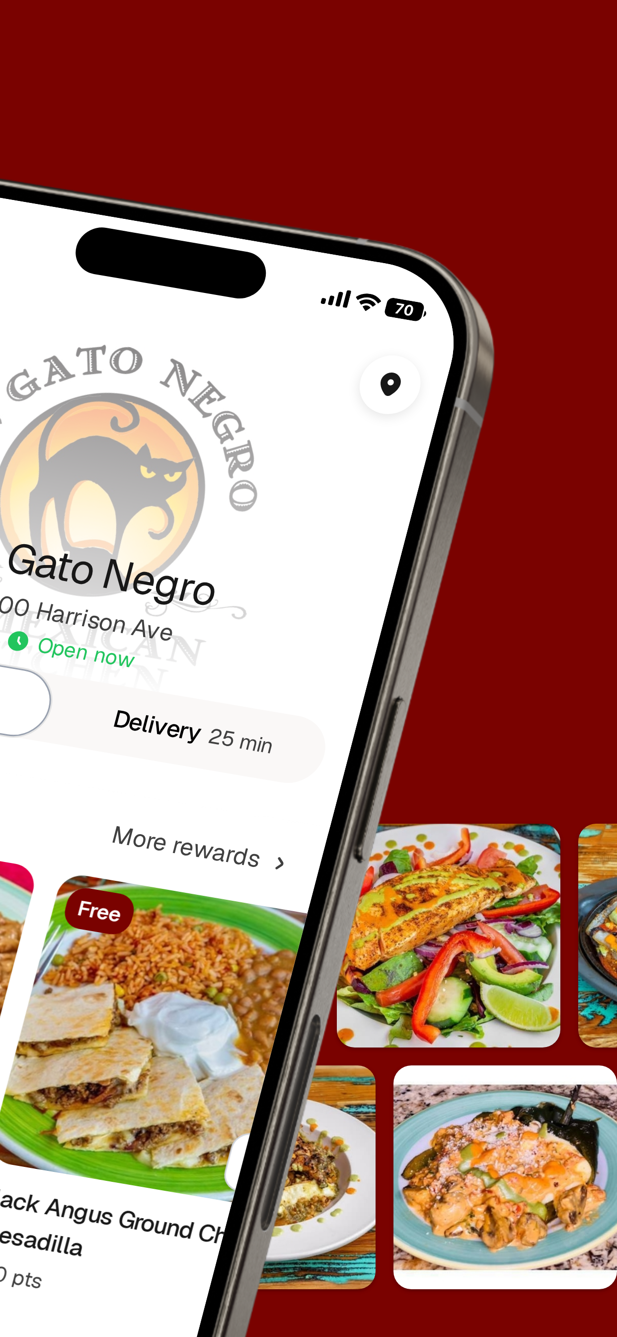 El Gato Negro screenshot 2