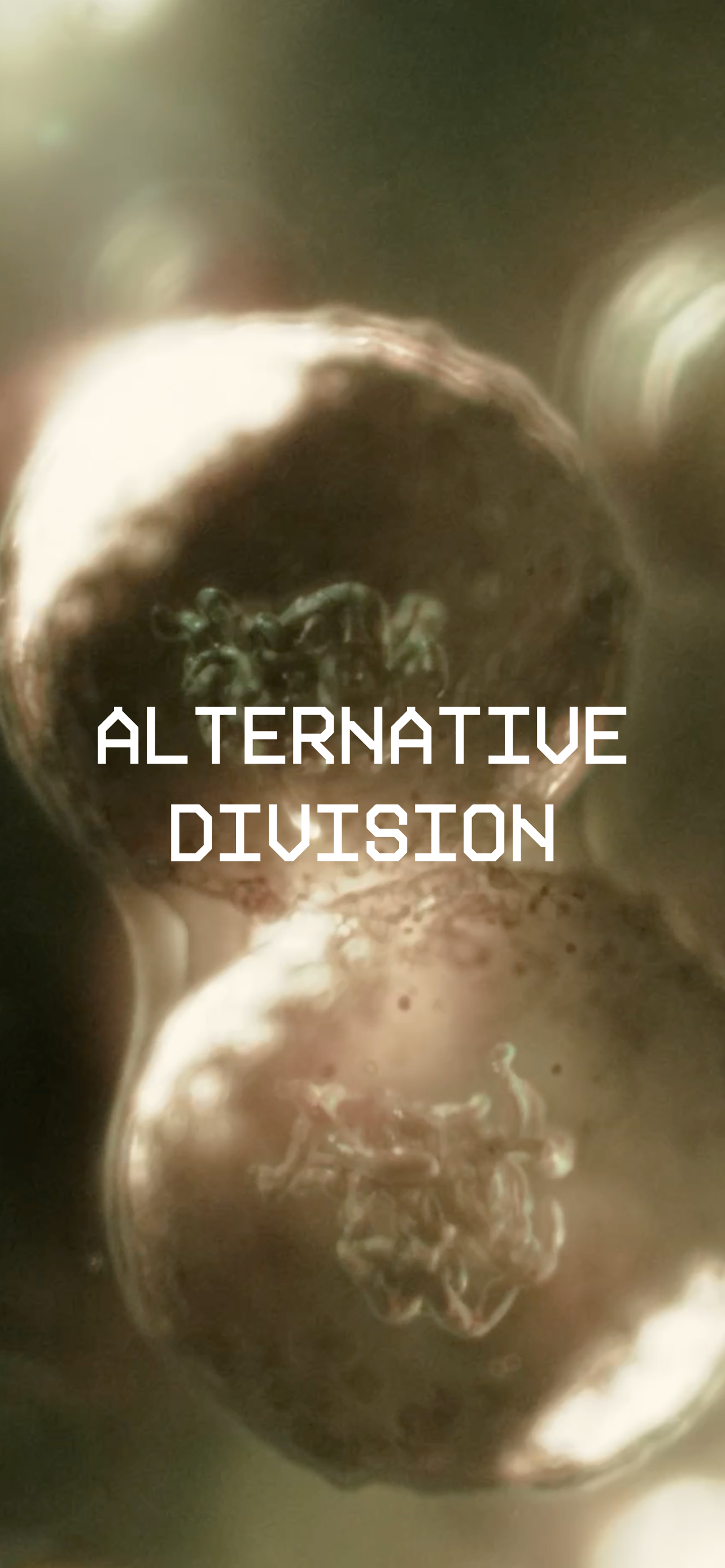 Alternative Division screenshot 2