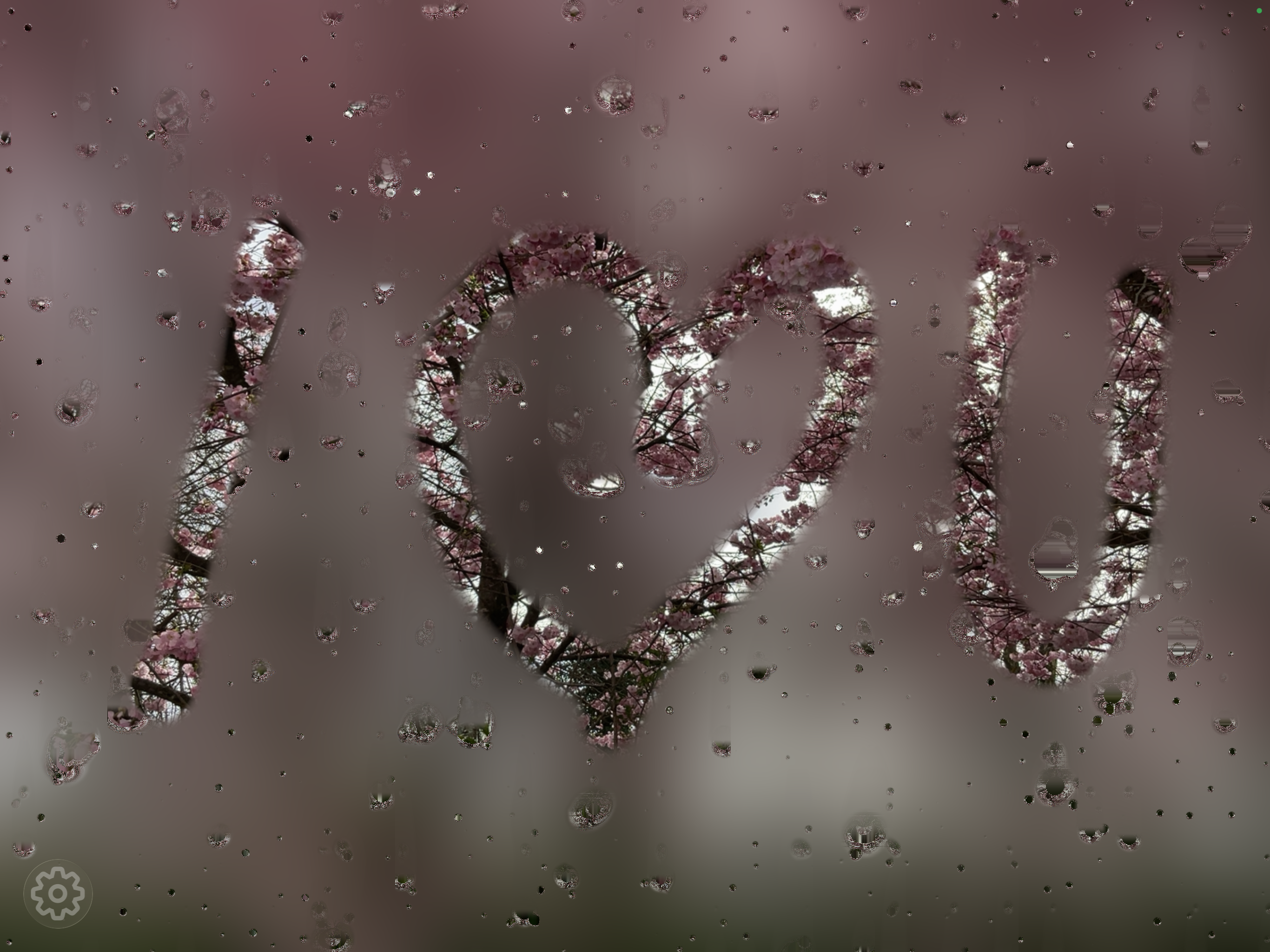 Foggy Cam