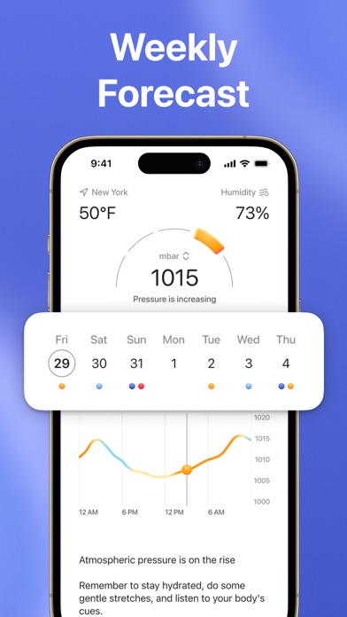 Barometric Pressure: Migraine Screenshot