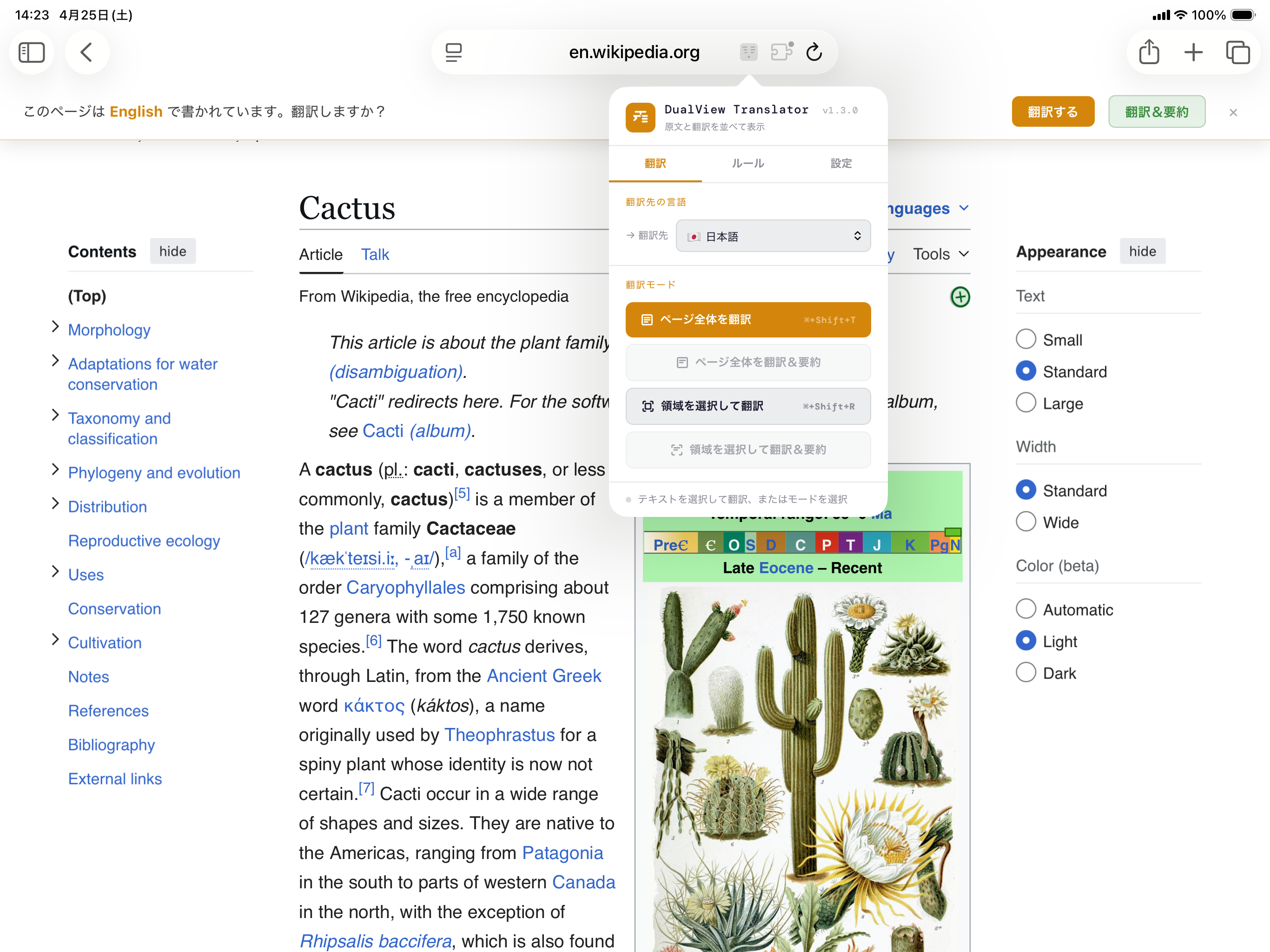 DualView Translator