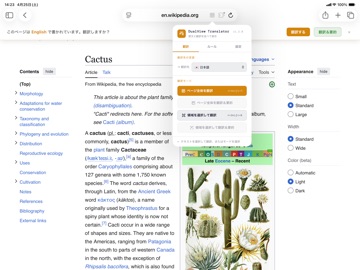 DualView Translator iPad screenshot