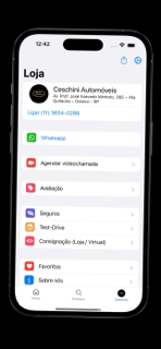 Ceschini Automóveis screenshot 4