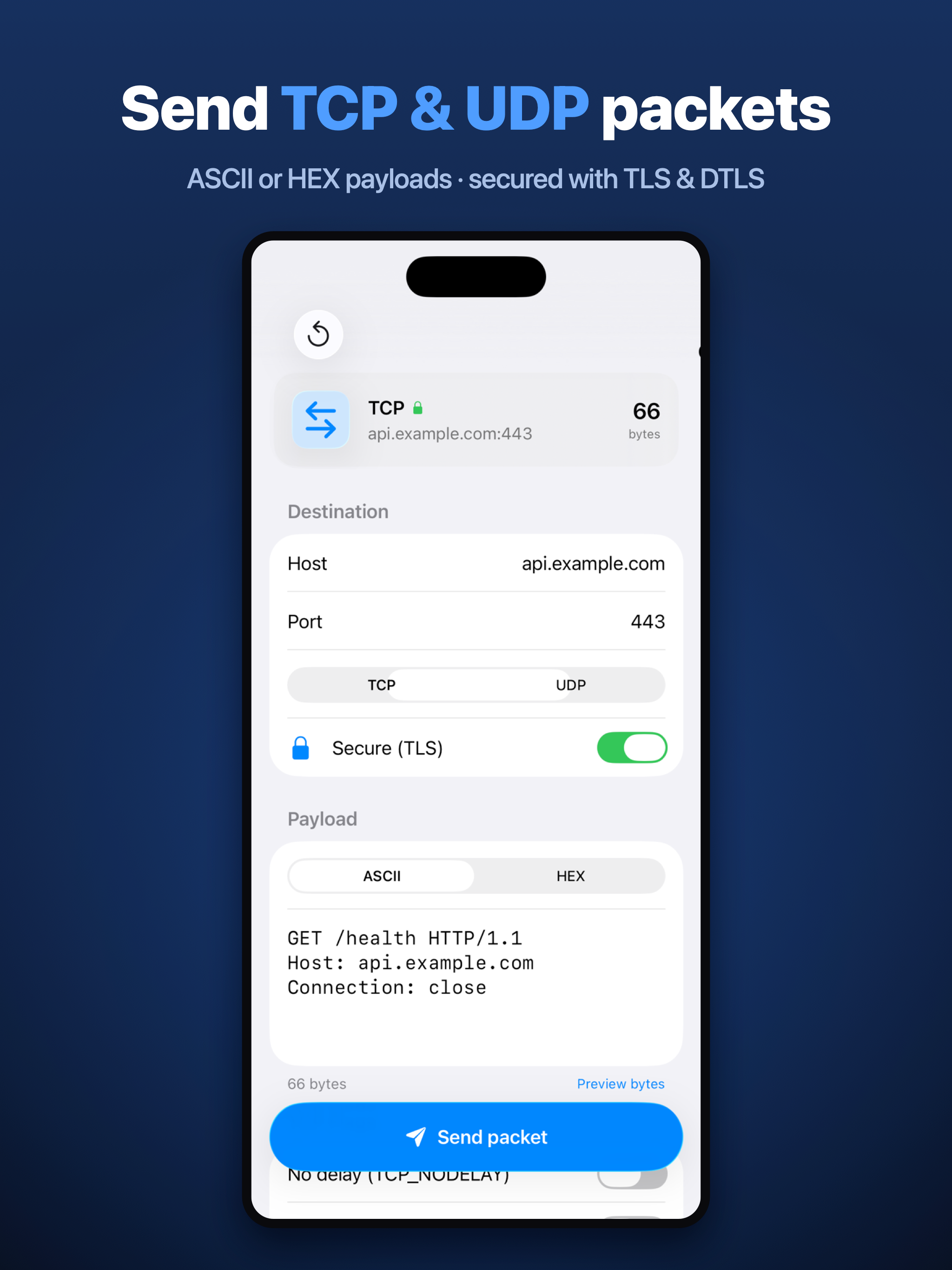 TCP & UDP Packet Sender screenshot 5