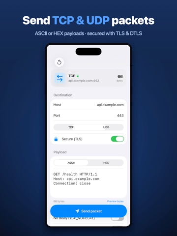 TCP & UDP Packet Sender 스크린샷 5