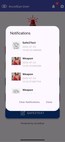 AccelEye User screenshot