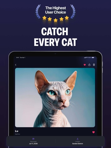 Cat Finderㅤ iPad screenshot