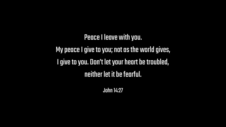 Bible 100 screenshot-5