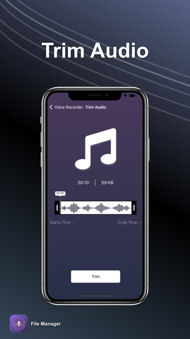 Voice Recorder: Audio Notes Screenshot