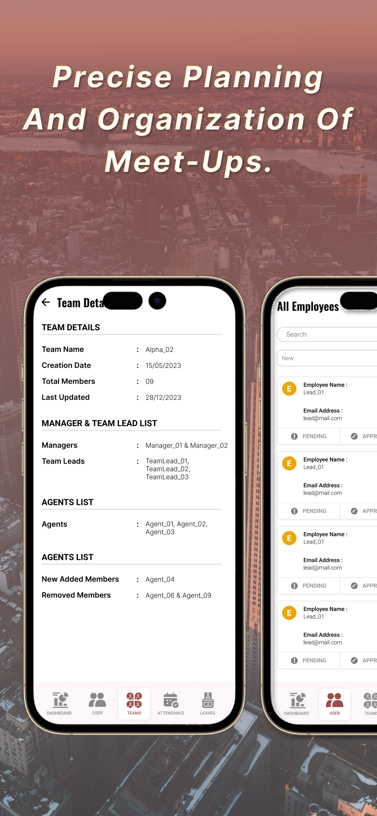 Revo Realty screenshot 4