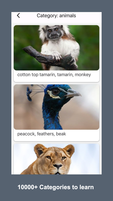 Fun Learning Quizzes for Kids Screenshot