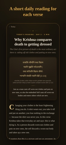 Steady – Daily Gita Meditation screenshot