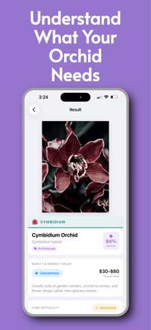 Orchid Identification:AI Guide iPhone screenshot