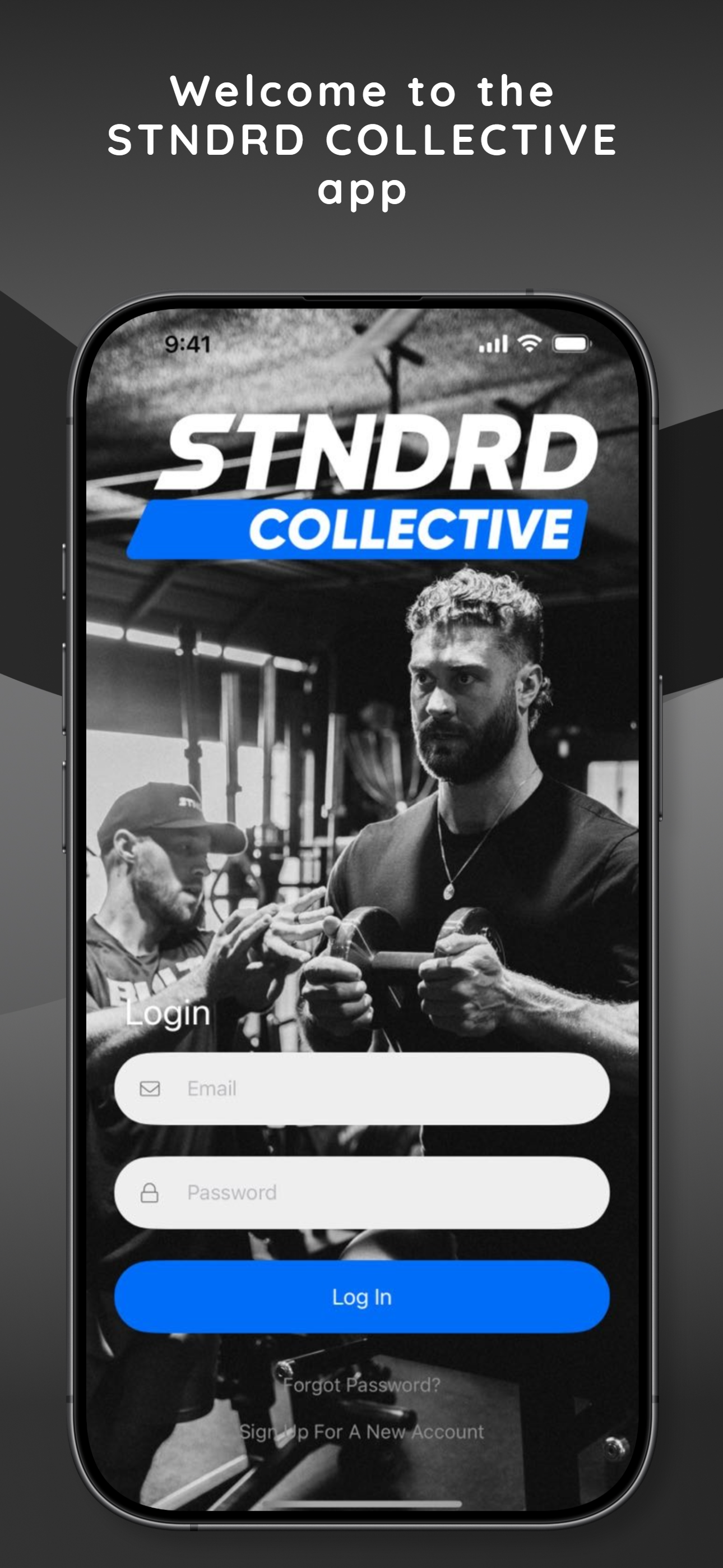 STNDRD Collective