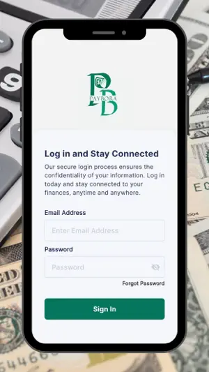 PayBora screenshot 2