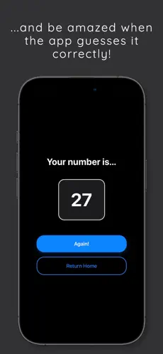 Magic Number Guesser screenshot
