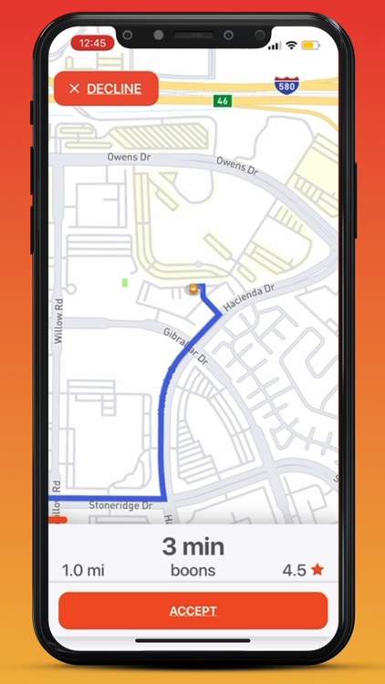 boons driver screenshot-3