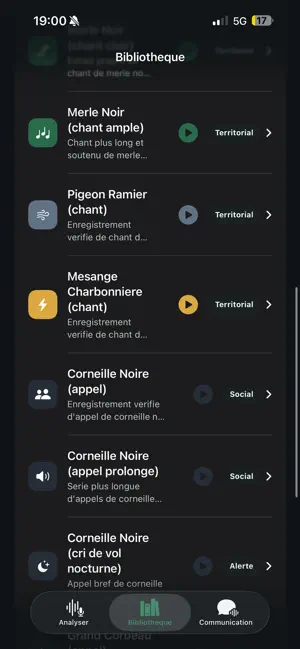 BirdTranslate screenshot 4