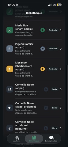 BirdTranslate Screenshot 4 of 9