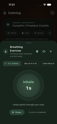 Calming: Ambient Sound & Music screenshot 3