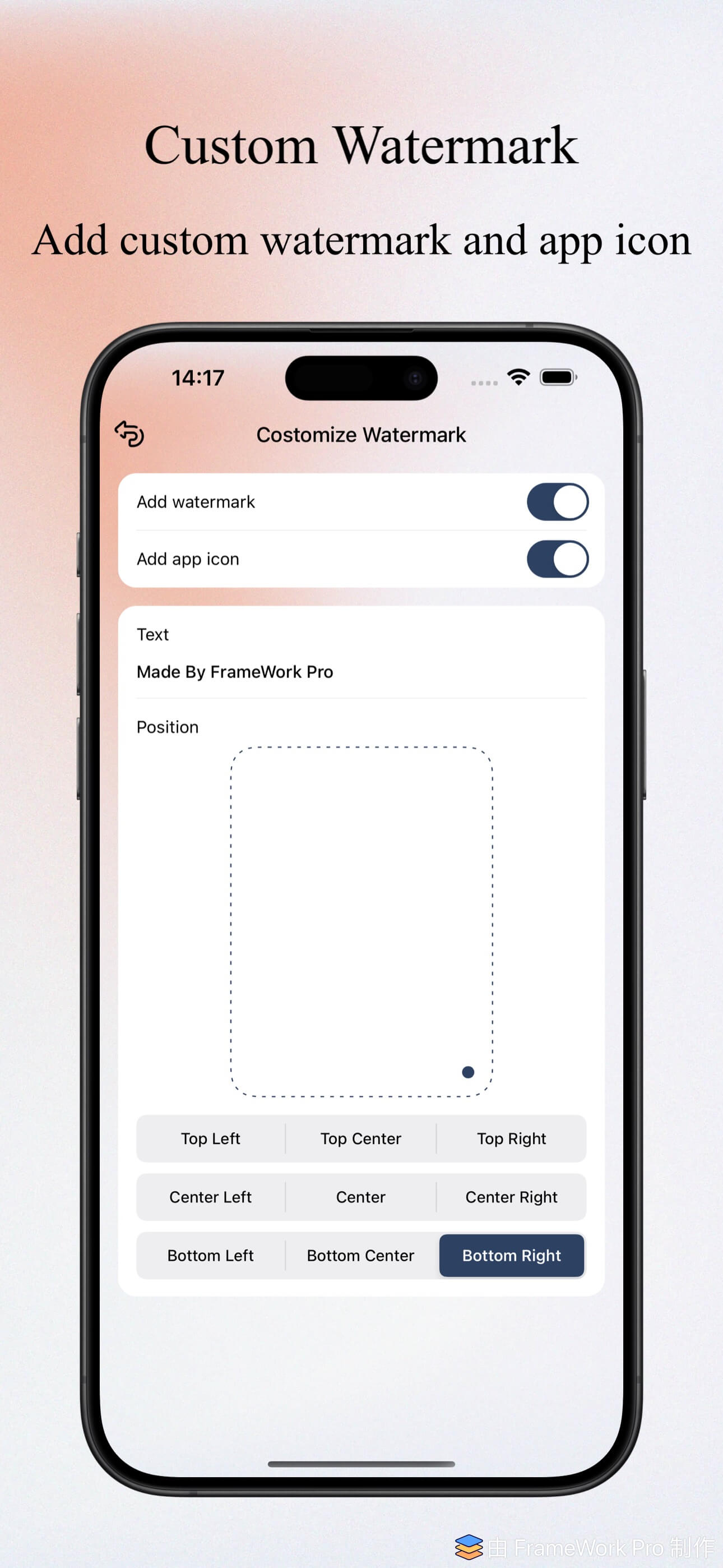 FrameWork Pro - Screenshot