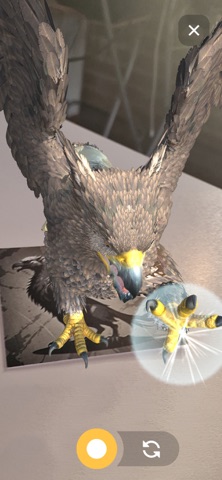 ARcanaVision iPhone screenshot